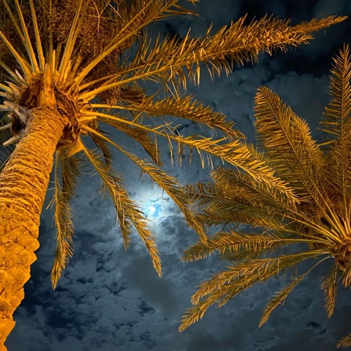 Galaxy - CH@NC3 (snippet)