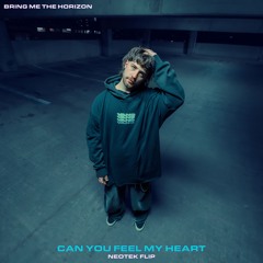 BRING ME THE HORIZON  - CAN YOU FEEL MY HEART (NEOTEK FLIP)