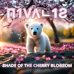 Shade of the Cherry Blossom