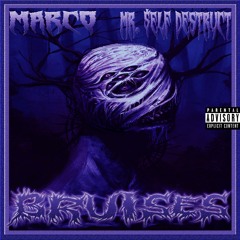 MARCO x MR. $ELF DESTRUCT - ZERO TOLERANCE (PROD. PXLSDEAD)