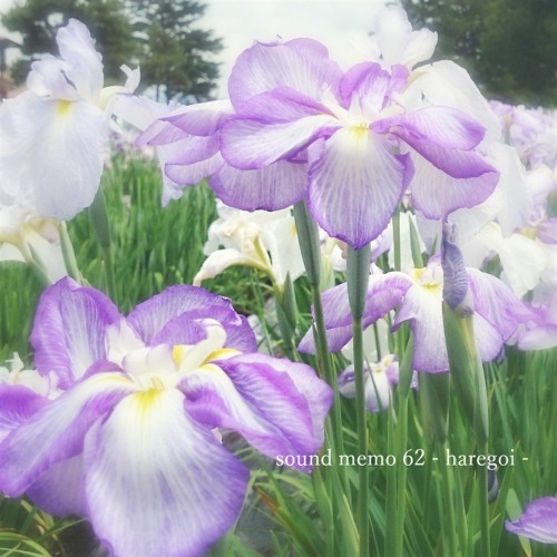 sound memo 62 - haregoi -