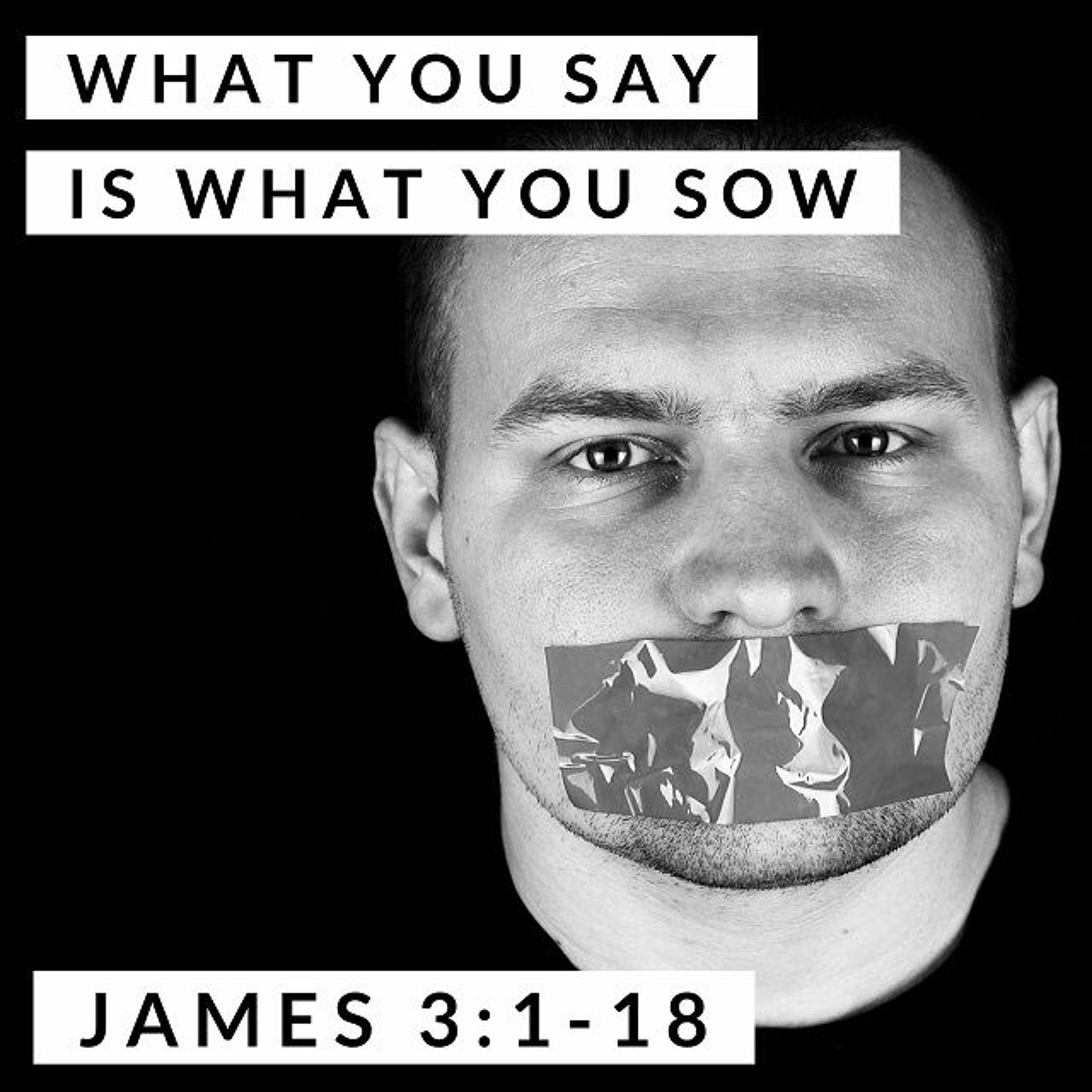 What You Say is What You Sow; James 3:1-18 episode artwork