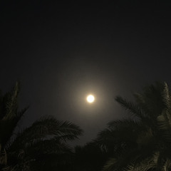 علمتك معنى الحب .