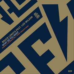 PREMIERE: Bruce Leroys, Lee Wilson - What Do You Want (Alternative Mix)