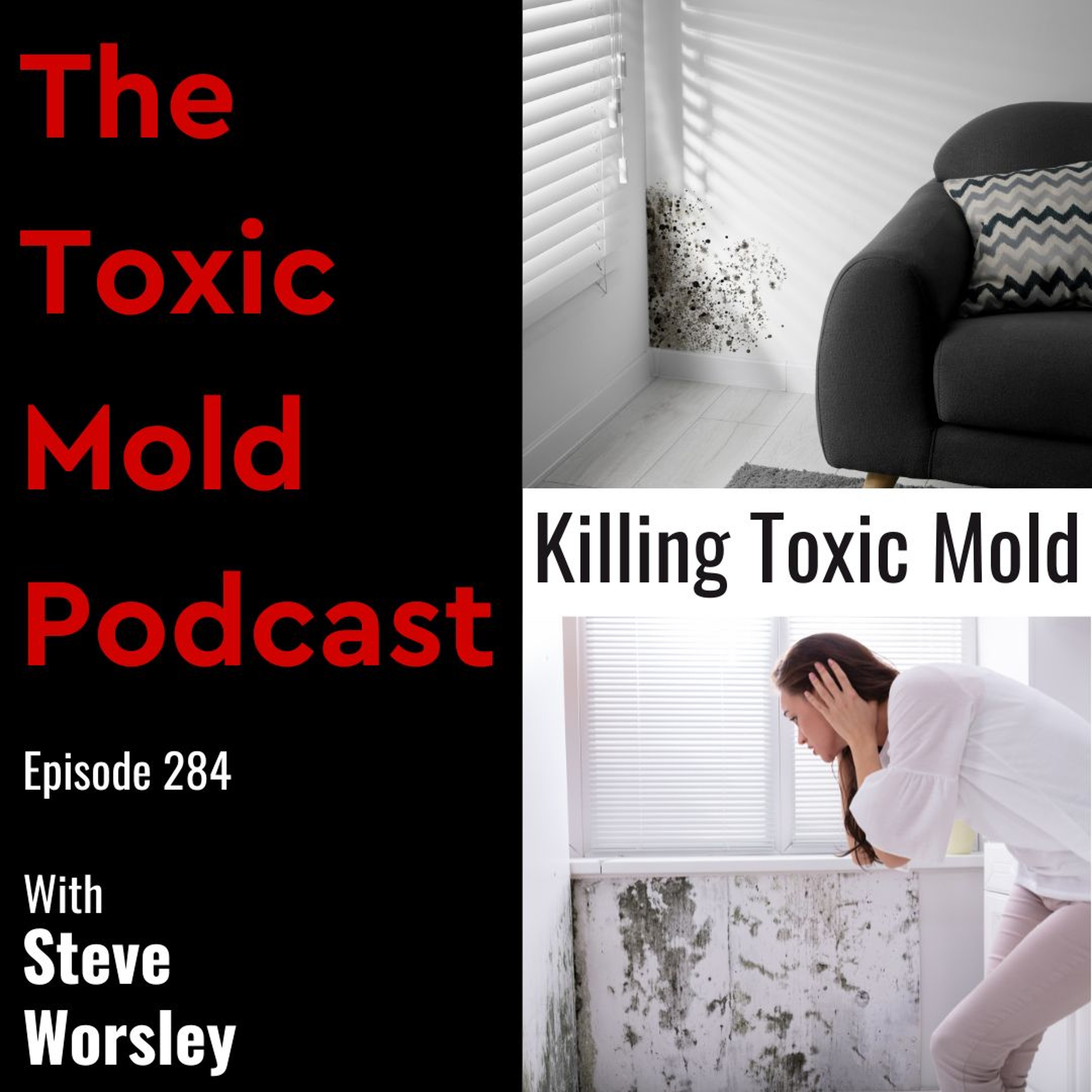 The Toxic Mold Podcast