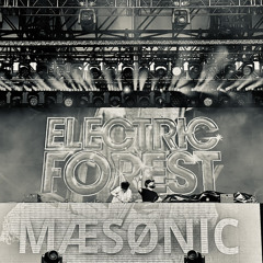 Electric Forest (Tripolee Stage - June 20, 2024)
