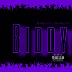 Biddy boy -Never Say Never To Always