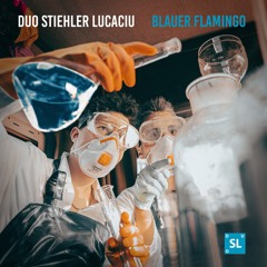 Duo Stiehler:Lucaciu - Blauer Flamingo