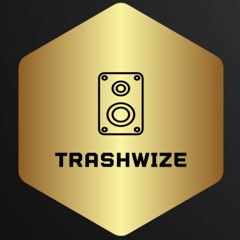 TrashWize - Flavius Systems Online: EP II