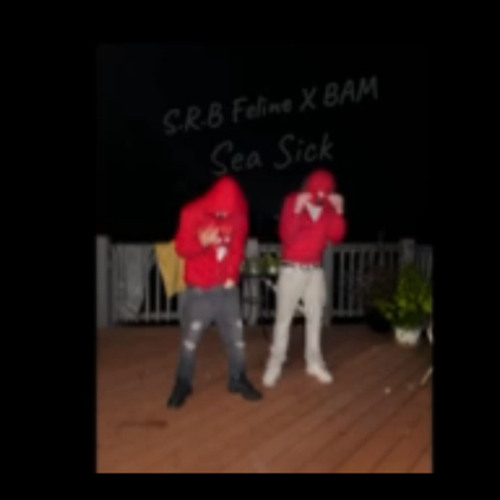 “Seasick”- SRBfeline x BAM