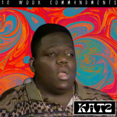 10 Wook Commandments