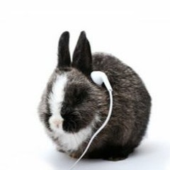 Bunnii's Mix Vol. 1