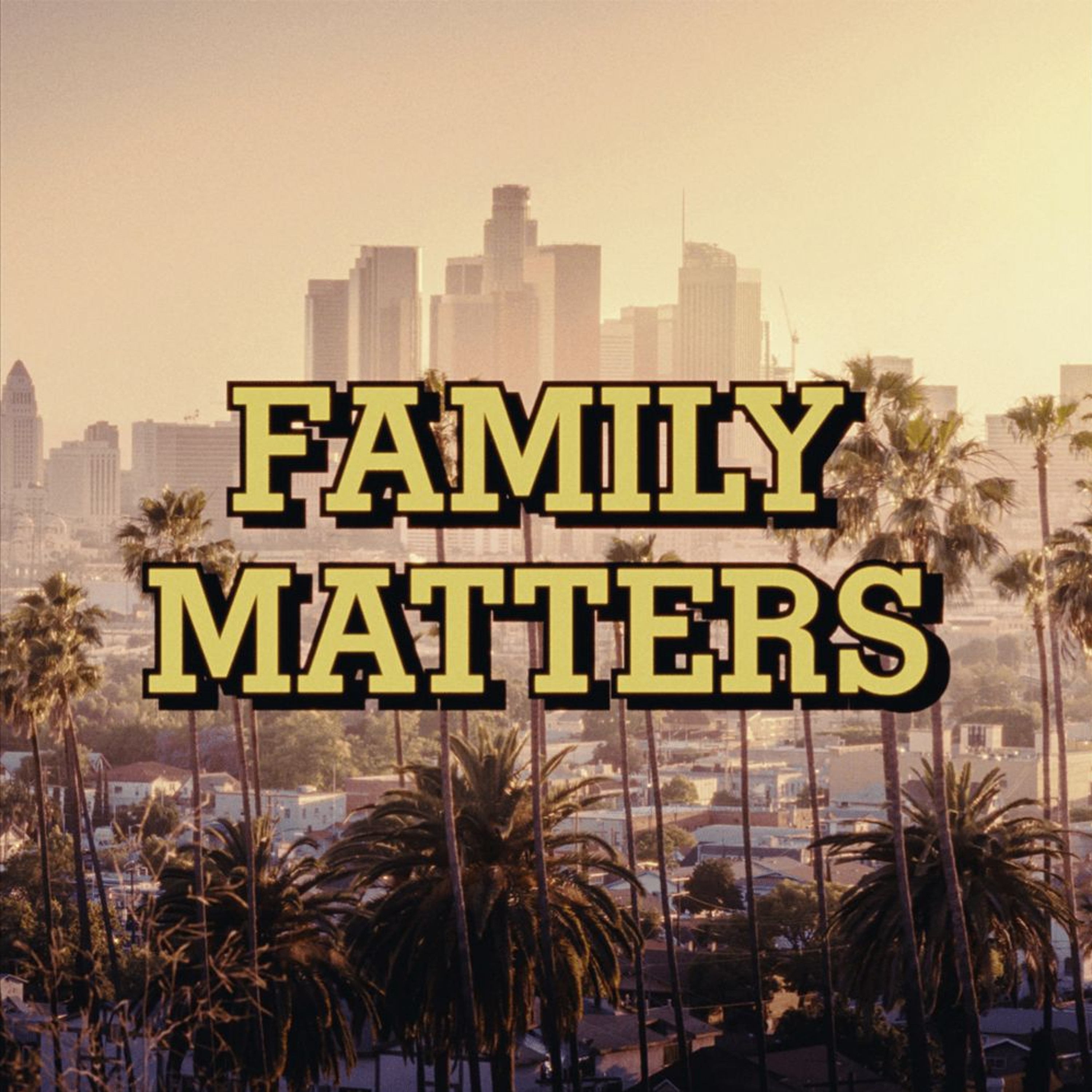 Drake - Family Matters episode artwork