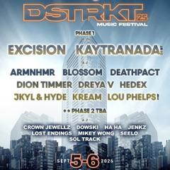 Jenkz @ DSTRKT Music Festival