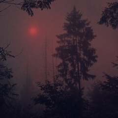 inmuney - FACING PAIN