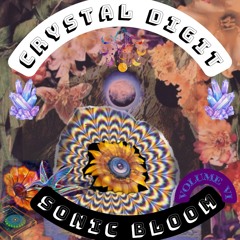 Crystal Digit @ Sonic Bloom V6