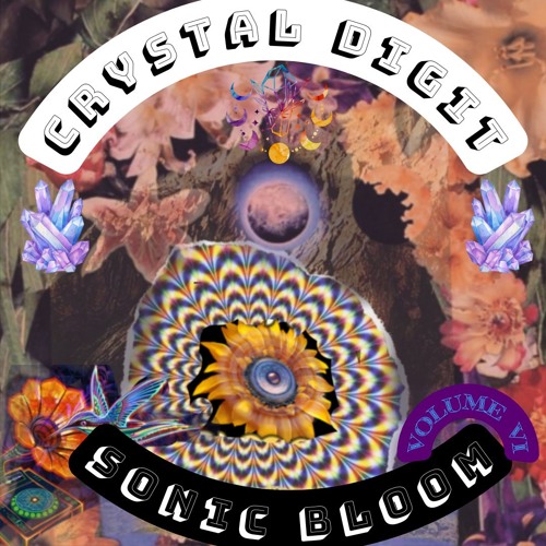 Crystal Digit @ Sonic Bloom V6