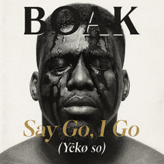 Say Go, I Go (Yɛkɔ So)