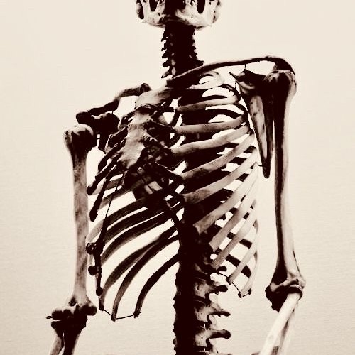 bones .wav