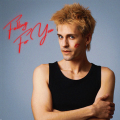 David Mudra - Falling For You