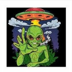 Good Vibes