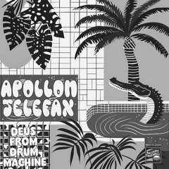 Bogdan Titomir - Kaif (Apollon Telefax x Orchid dub edit)