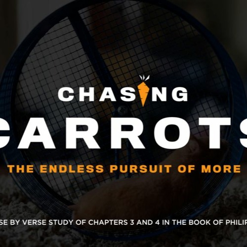 Stream Chasing Carrots Part 4: Chasing Contentment by Lifehouse ...