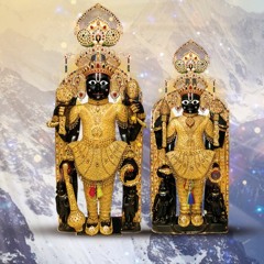 Narnarayan Ashtakam #BhujMandir200