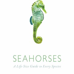 READ Seahorses: A Life-Size Guide to Every Species
