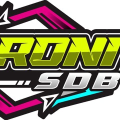 OTAK NGAJAK RIBUT - 2025 [ ALDO REMIX x DJ RONI SDB]#LOCK!!!