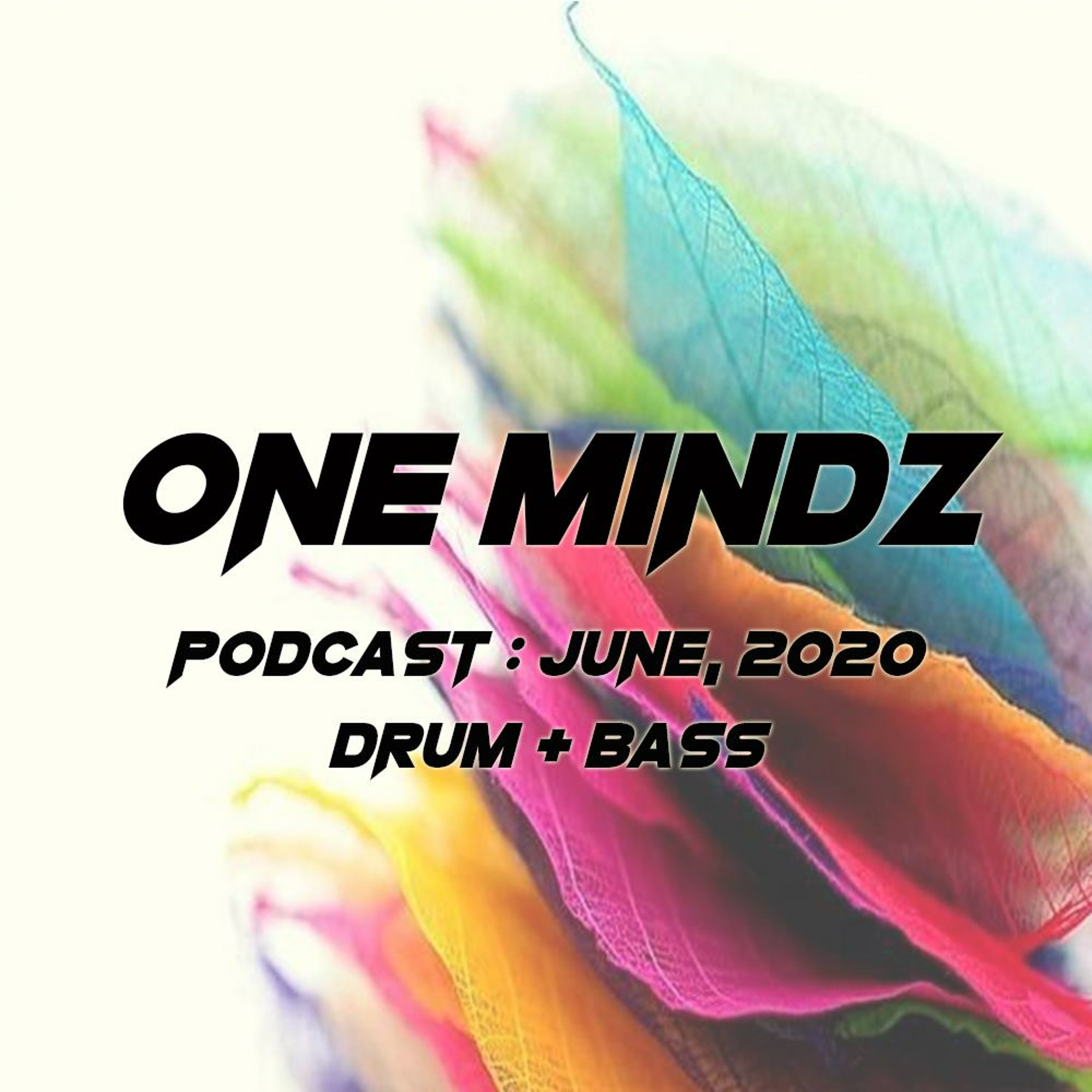 One Mindz Podcast (Drum & Bass)