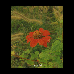 B-TEE - ดอกไม้ (Flowers)