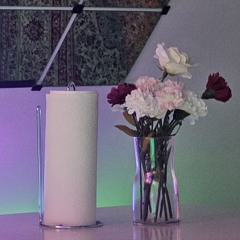 Singularität Neugeboren