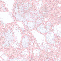 111525 2025-11-15 0731