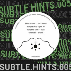 Behic Fellowes - I Dont Wanna  (Original Mix)
