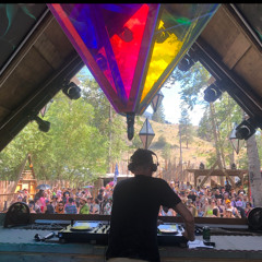 Nathan Zahn Live at Bass Coast 2024