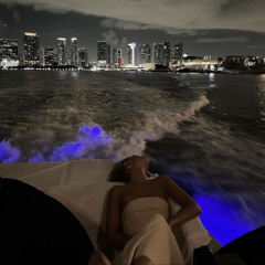 سيد الاحباب