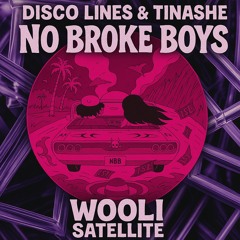 Disco Lines & Tinashe - No Broke Boys x Wooli - Satellite (Wooli Inspired) MASHUP DL