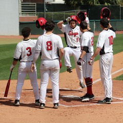Stag Juice Vol. 1 (Fairfield Baseball)