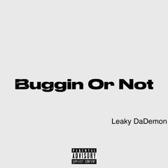 Leaky DaDemon - Buggin Or Not