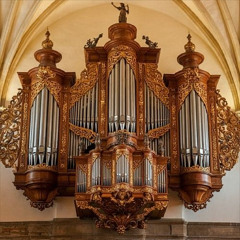 Part 9 / 12 of Chorale Partita "Sei gegrüßet, Jesu gütig" (BWV 768): Variation 8