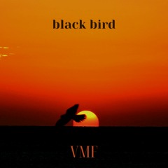 [No Copyright Music] Black Bird by JayJen [VMF Release]