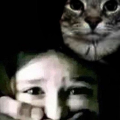 smile whilst it lasts