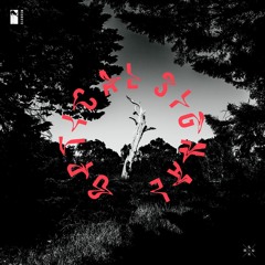 [019] - Brandski - Optical Signal (incl. Moralez Remix)