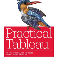 download EPUB 📑 Practical Tableau: 100 Tips, Tutorials, and Strategies from a Tablea