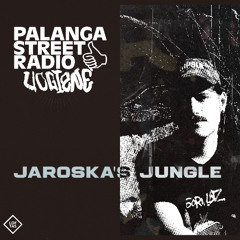 PALANGA STREET RADIO PRESENTS JAROSKA GYVAI IS UOGIENES LOFTE