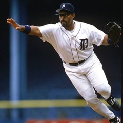tigers 45