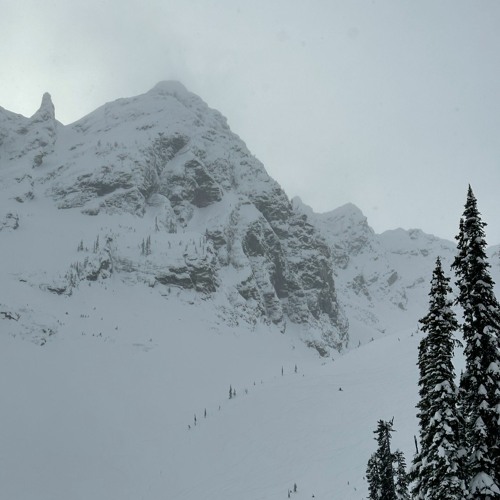 WINTER SYNTHETICS PACK #2k23