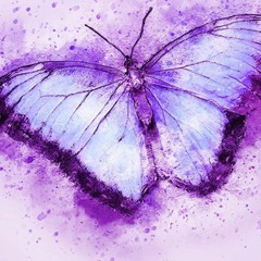 Flying like butterflys