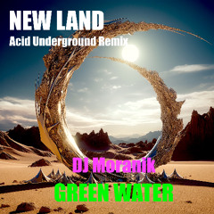 NEW LAND (Acid Underground Remix)